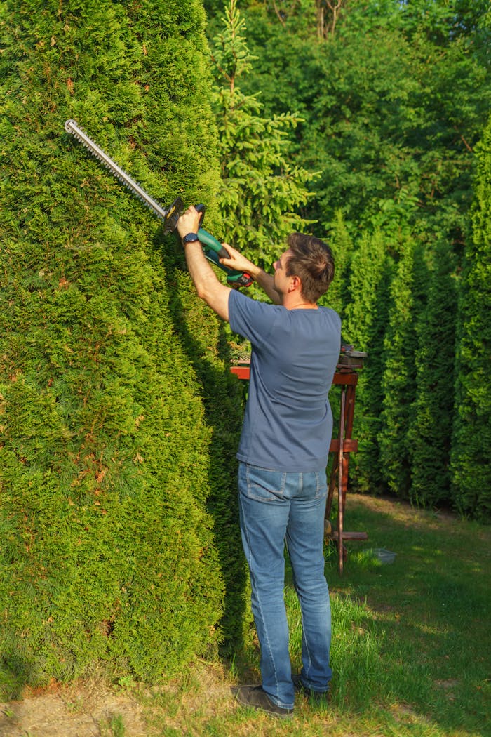 A Man Working in a Garden